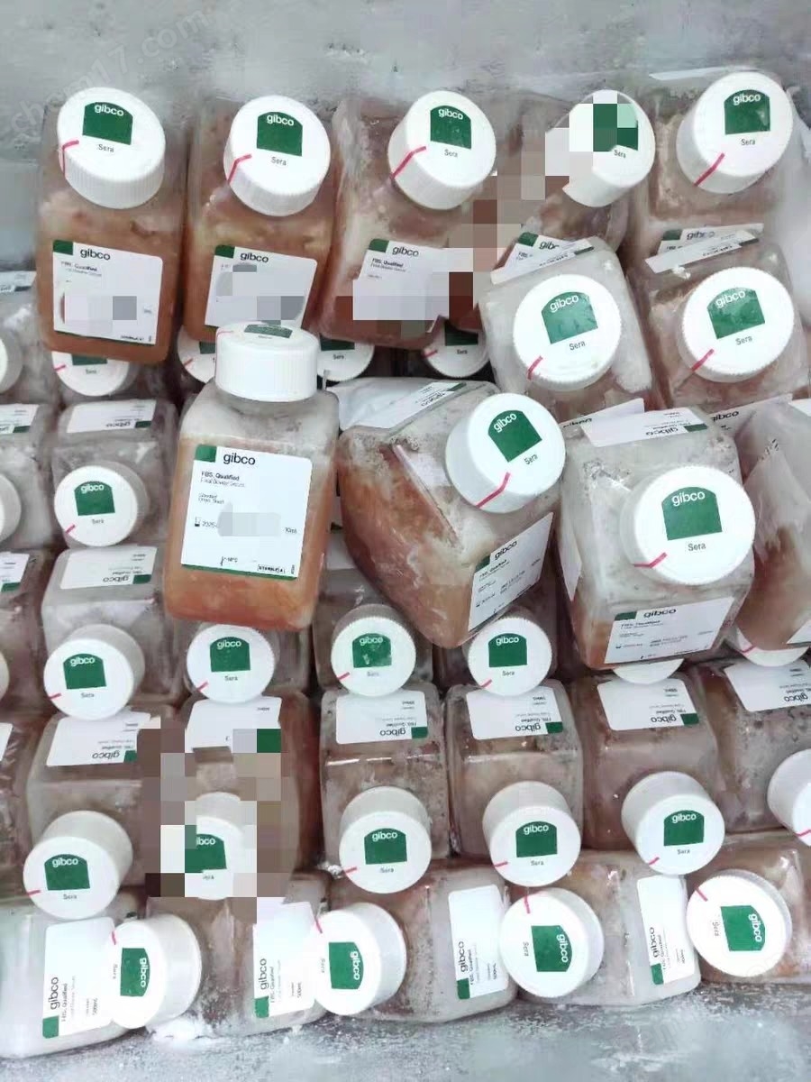 什么是gibco胎牛血清